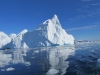 Iceberg